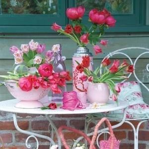 Meet your Posher, Dawn